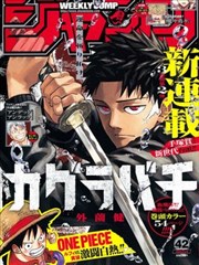 紧缚漫画之结绳记事作品封面